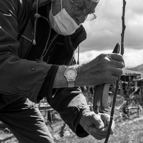 14 avril 2021 : collages, taille, jardinage