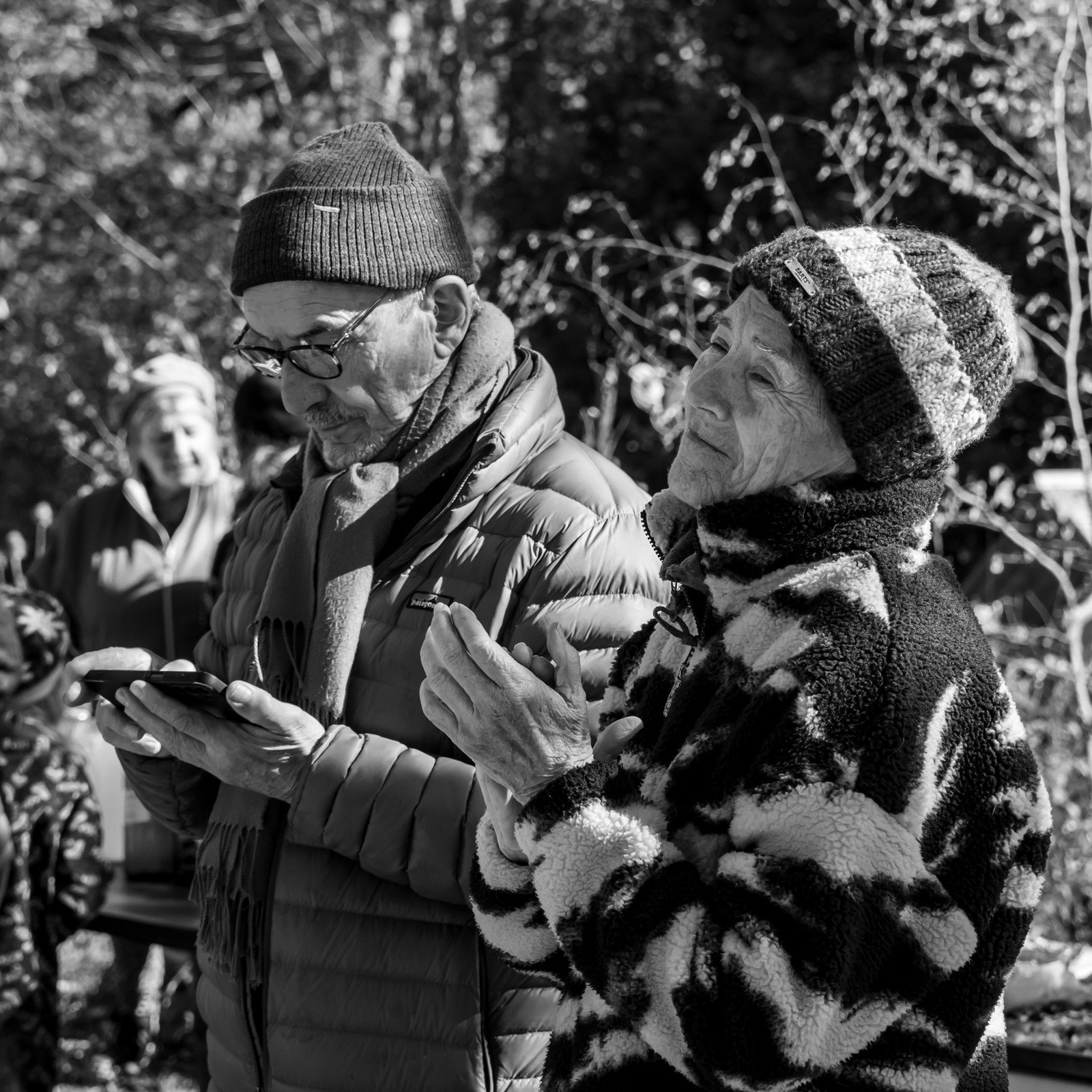 26 octobre 2025 : Les oiseaux de trottoir