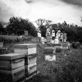 Visite au Rucher des Noisetiers