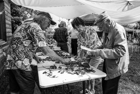 21 juin 2023 : Découverte botanique