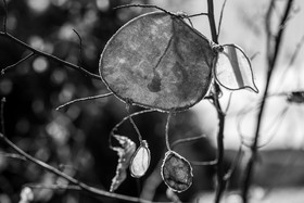 29 août 2025 : Journée des aidants