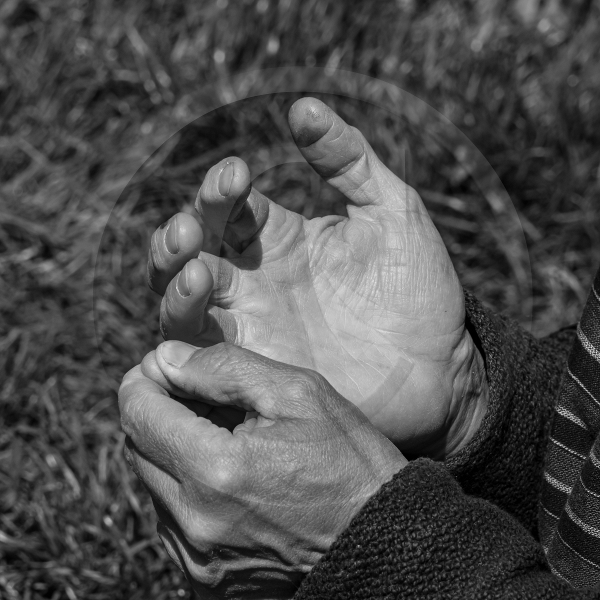 24 avril 2023 : Journée des aidants et des aidés