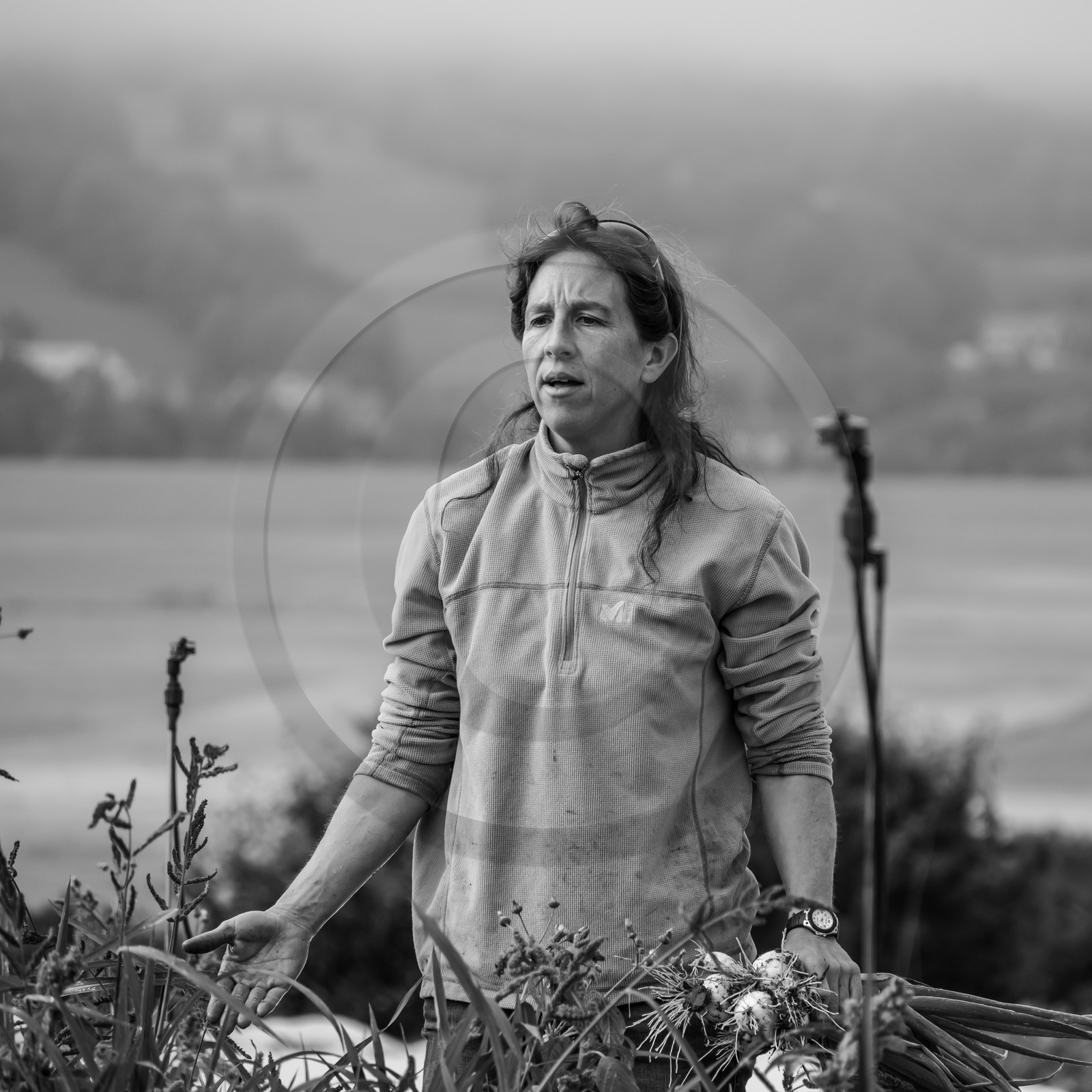 Maraichage biologique dans le Champsaur