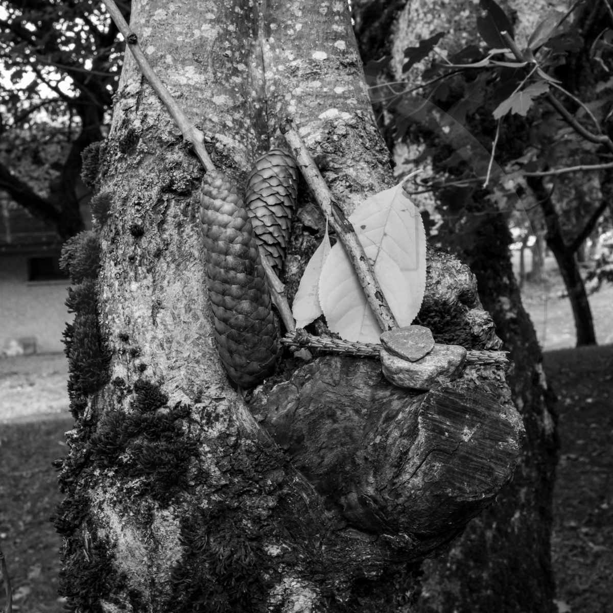 14 septembre 2022 : jeux, laine et promenade