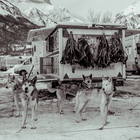 La Valgaude Traineau 2015