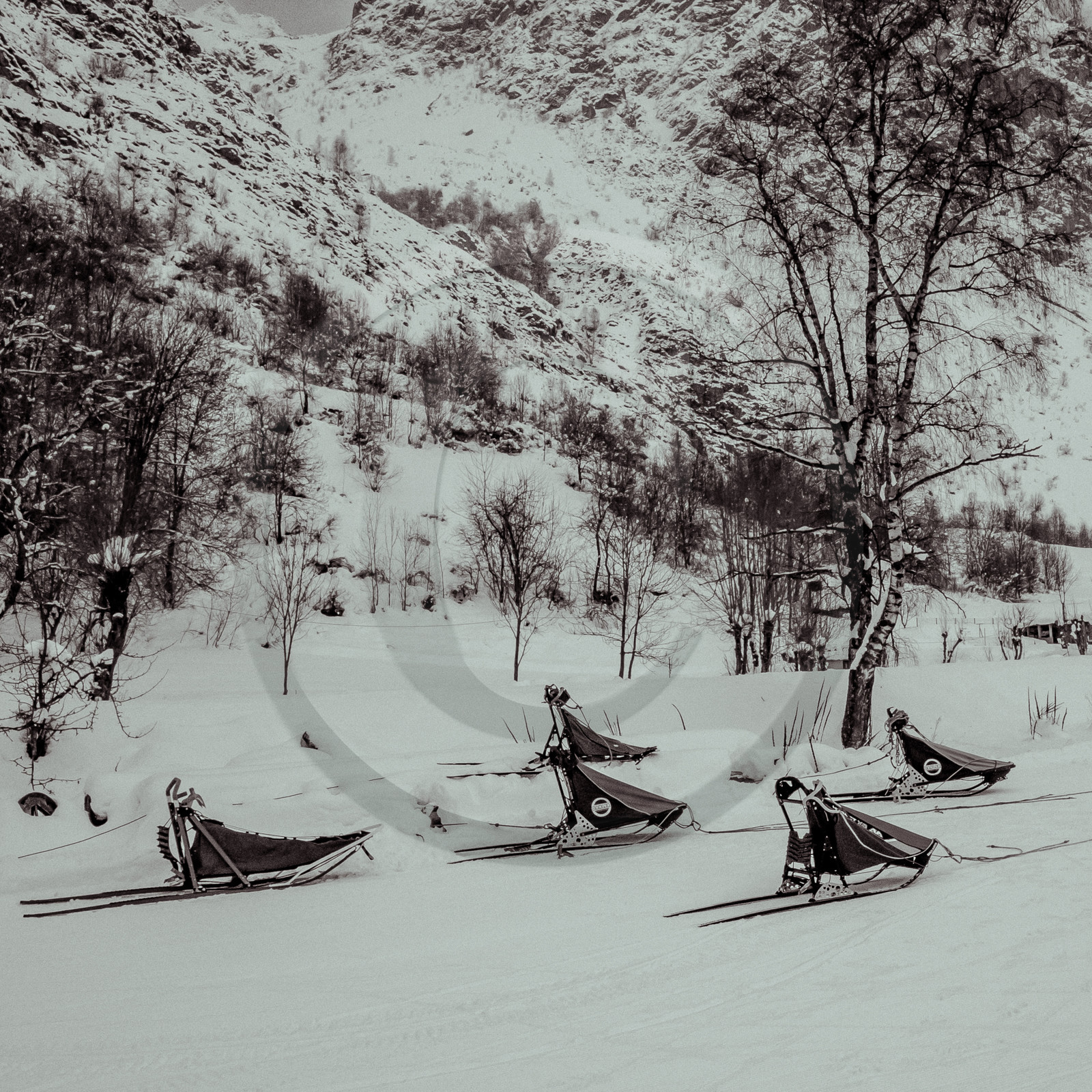 La Valgaude Traineau 2015