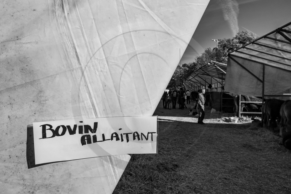 Rencontres paysannes à Saint-Bonnet en Champsaur