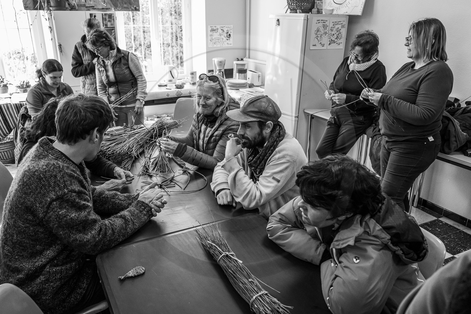 10 avril 2024 : Osier, laine et taille