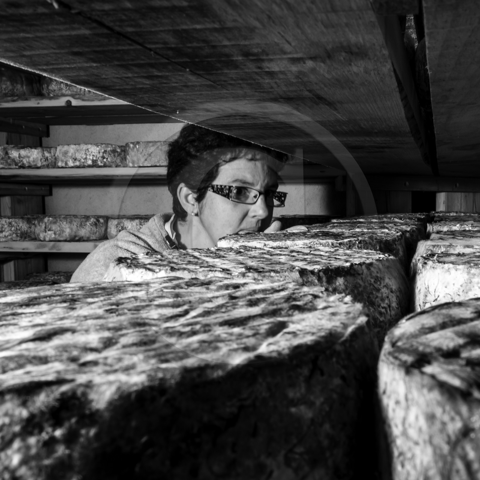 Le GAEC des Counières