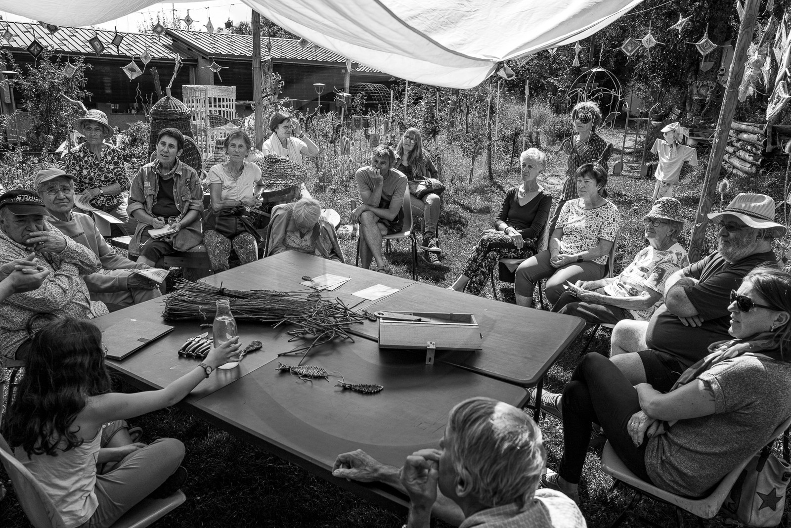 13 septembre 2023 : Osier et HydrOlique