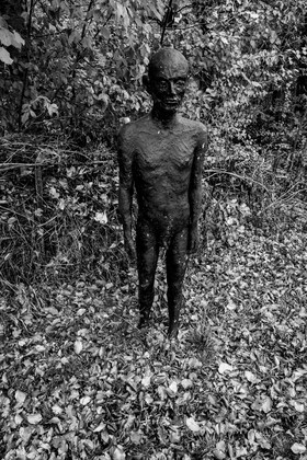 Exposition La forêt d'hommes, une création de Barbara Fougnon, artiste plasticienne