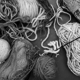 Atelier laine et promenade au jardin