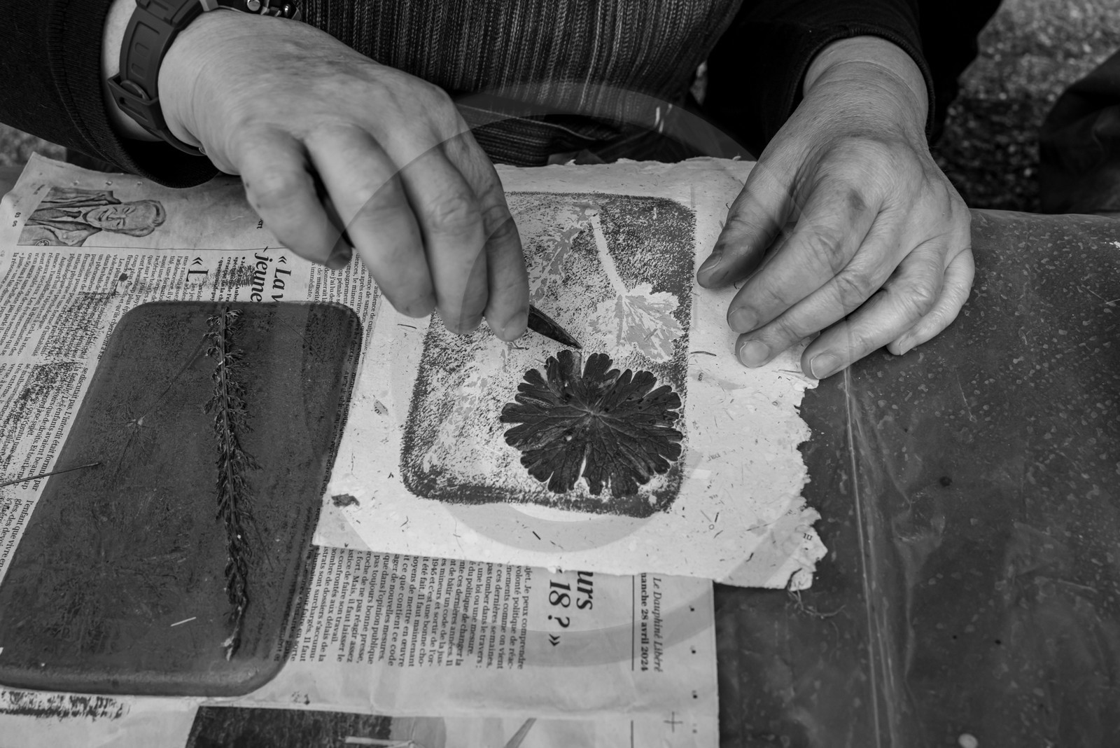 24 mai 2024 : Journée des aidants à l'Ouort