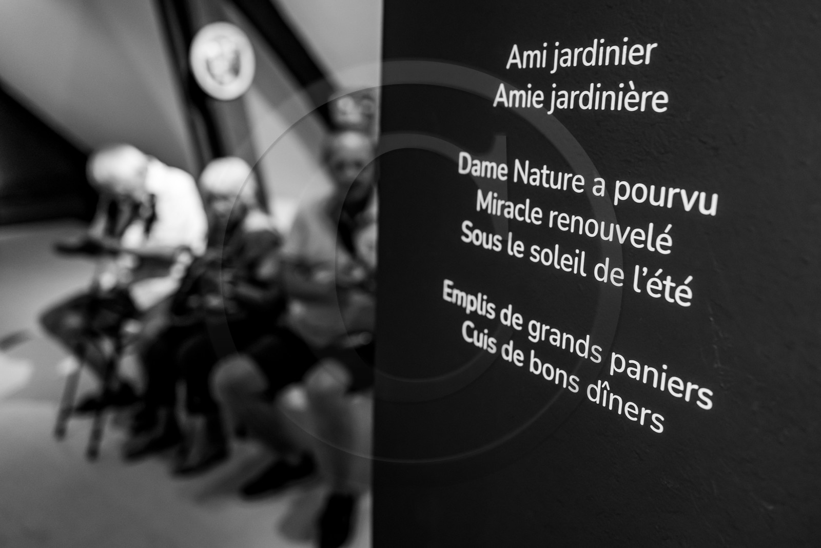 28 août 2024 : A la Maison de la Botanique du Noyer en Champsaur. Visite de l'exposition L comme laine, lien, lieu. Lectures par Les Colporteurs. Collages sur les photographies de Denis Lebioda