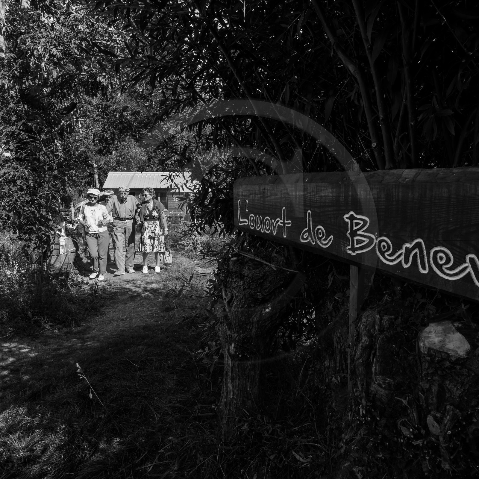 18 septembre 2019 : jeux avec Ludambule