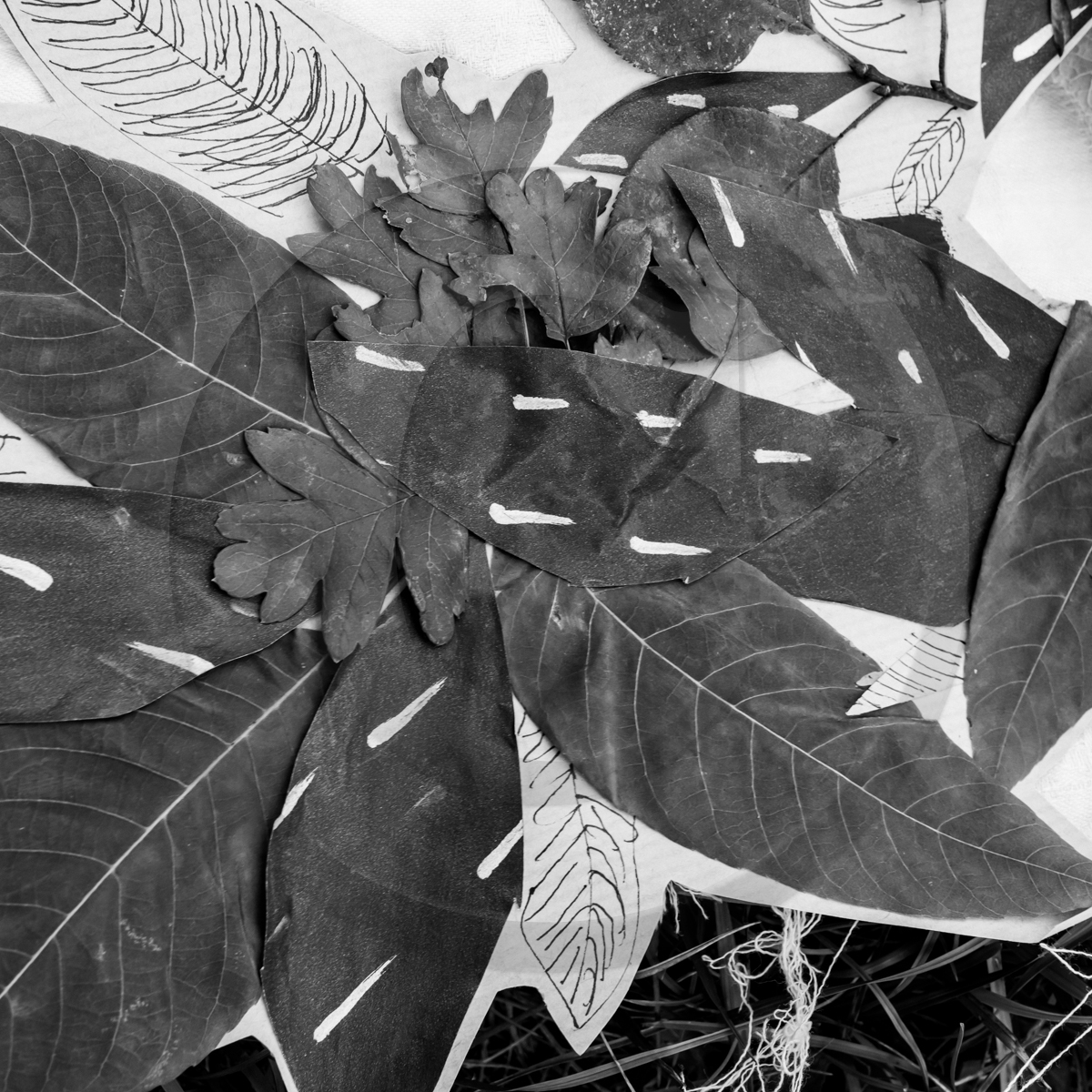 09 septembre 2022 : Journ&ée des aidants et des aidés