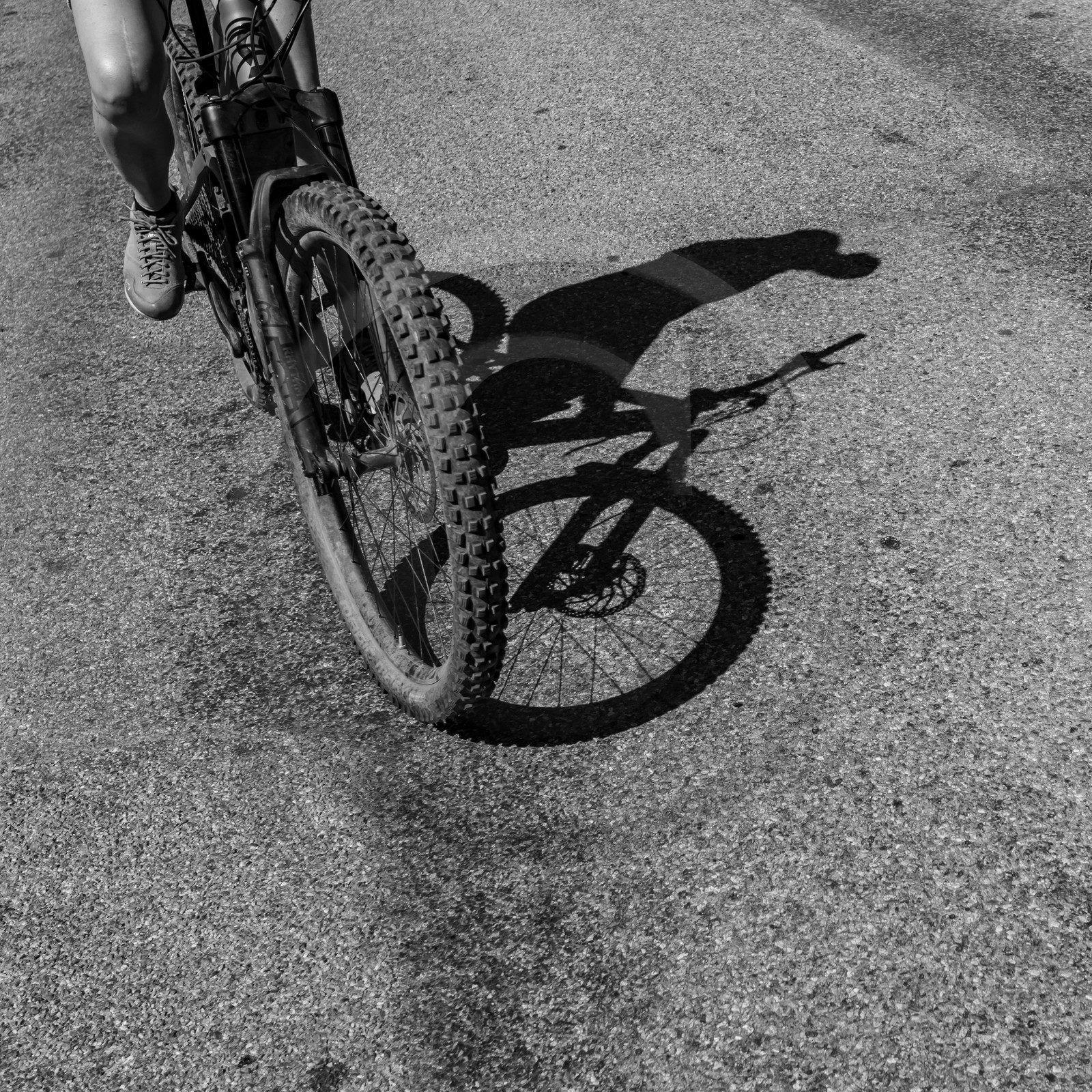 01 septembre 2021 : Promenade en cariole et contes