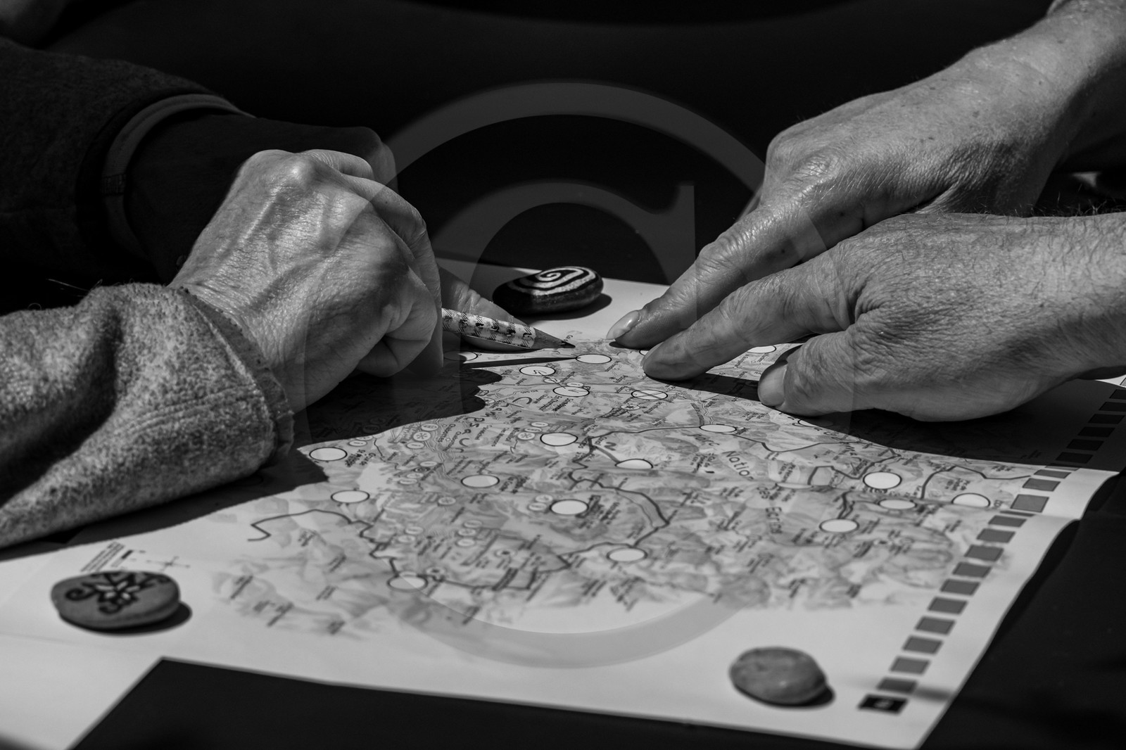 12 juin 2024 : création d'un jeu et jardinage