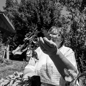 30 juin 2021 : Jardinage, jeux de cartes, masques