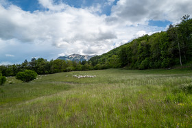 Le Pas du Loup - Le Glaizil -14 mai 2023