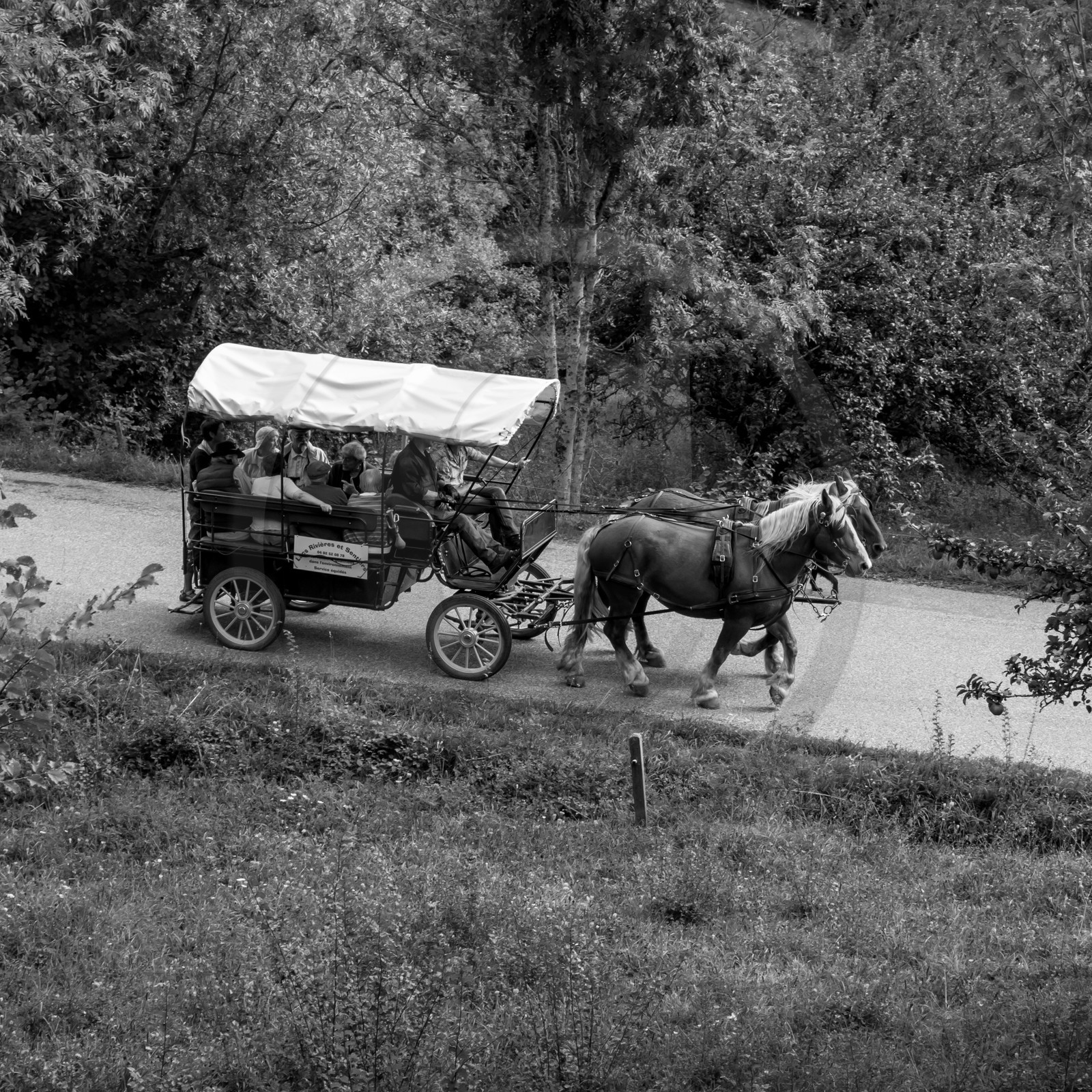 Promenade en calèche et contes