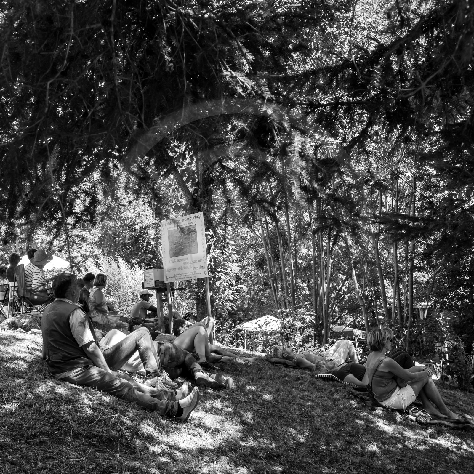 07 août 2017 - Sieste Musicale