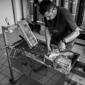 L'extraction du miel