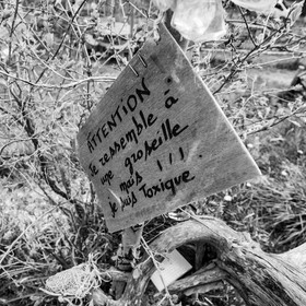 21 avril : jardinage, collages, peinture