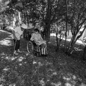 29 juin 2022 : Découverte des plantes sauvages