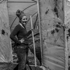 Montage de serres tunnel