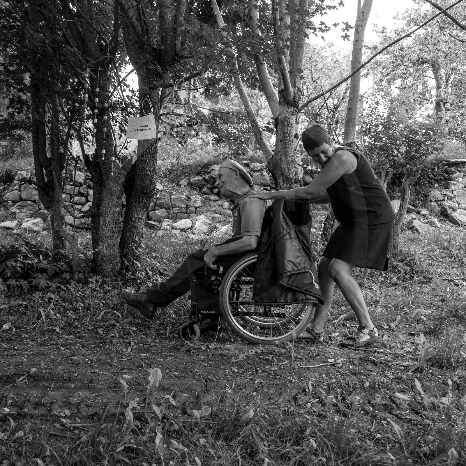 Une après-midi au jardin