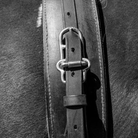 01 septembre 2021 : Promenade en cariole et contes