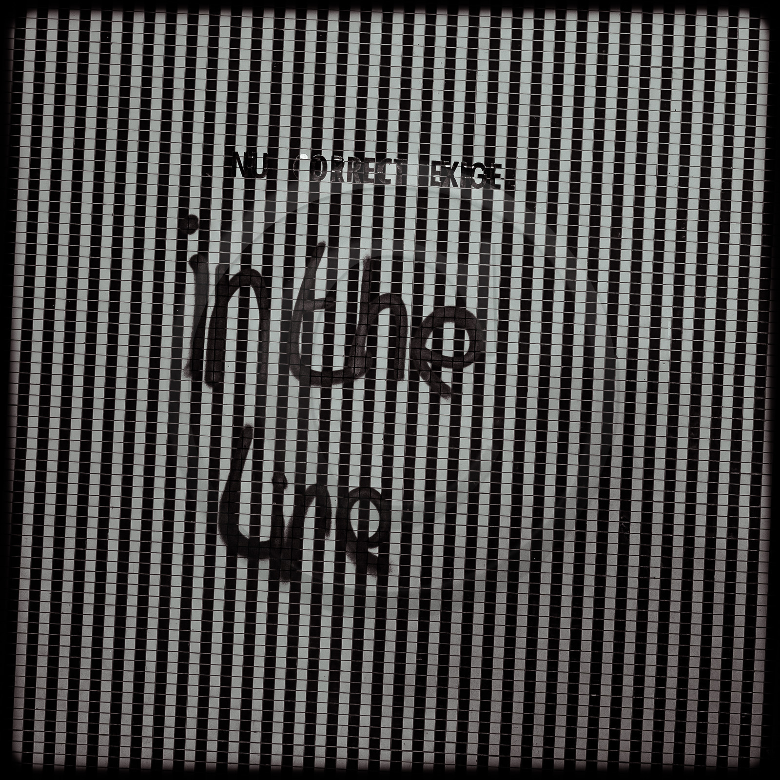 La piscine de Luminy (13)