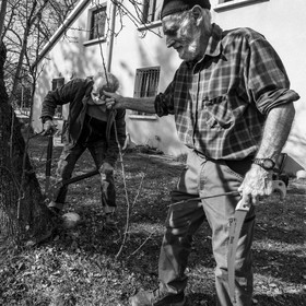 24 février 2021 : on taille, on prépare le jardin...