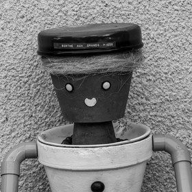 29 juin 2022 : Découverte des plantes sauvages