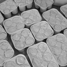 Paul Flambard, fromager