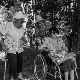 29 juin 2022 : Découverte des plantes sauvages