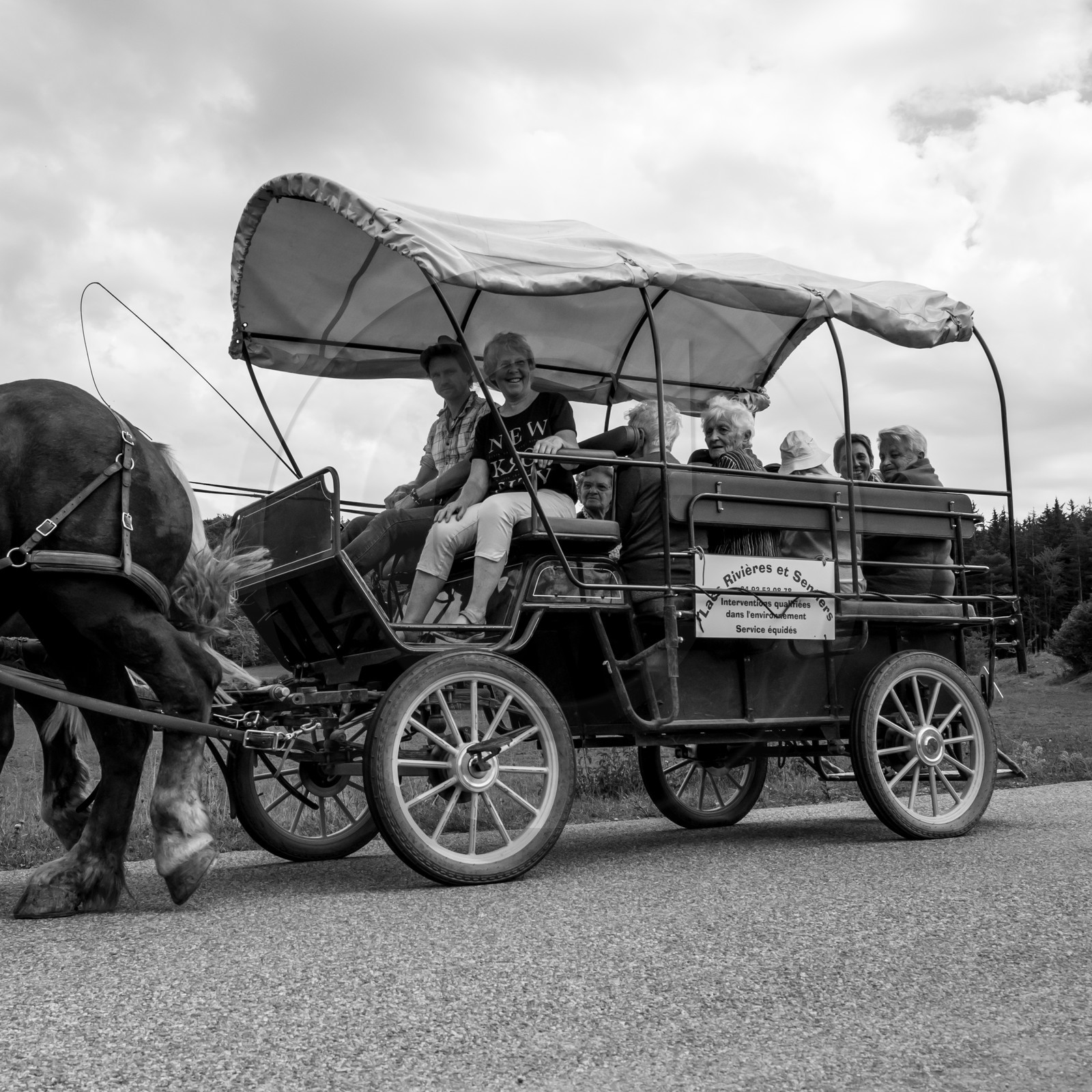 Promenade en calèche et contes