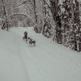 La Valgaude Traineau 2015