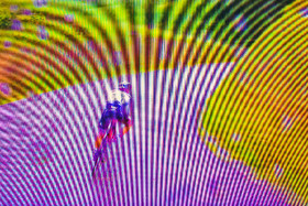 Le Tour de France cycliste 2021