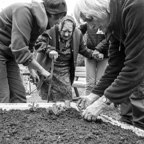 03 mai 2017 - Bac, semis et plantations