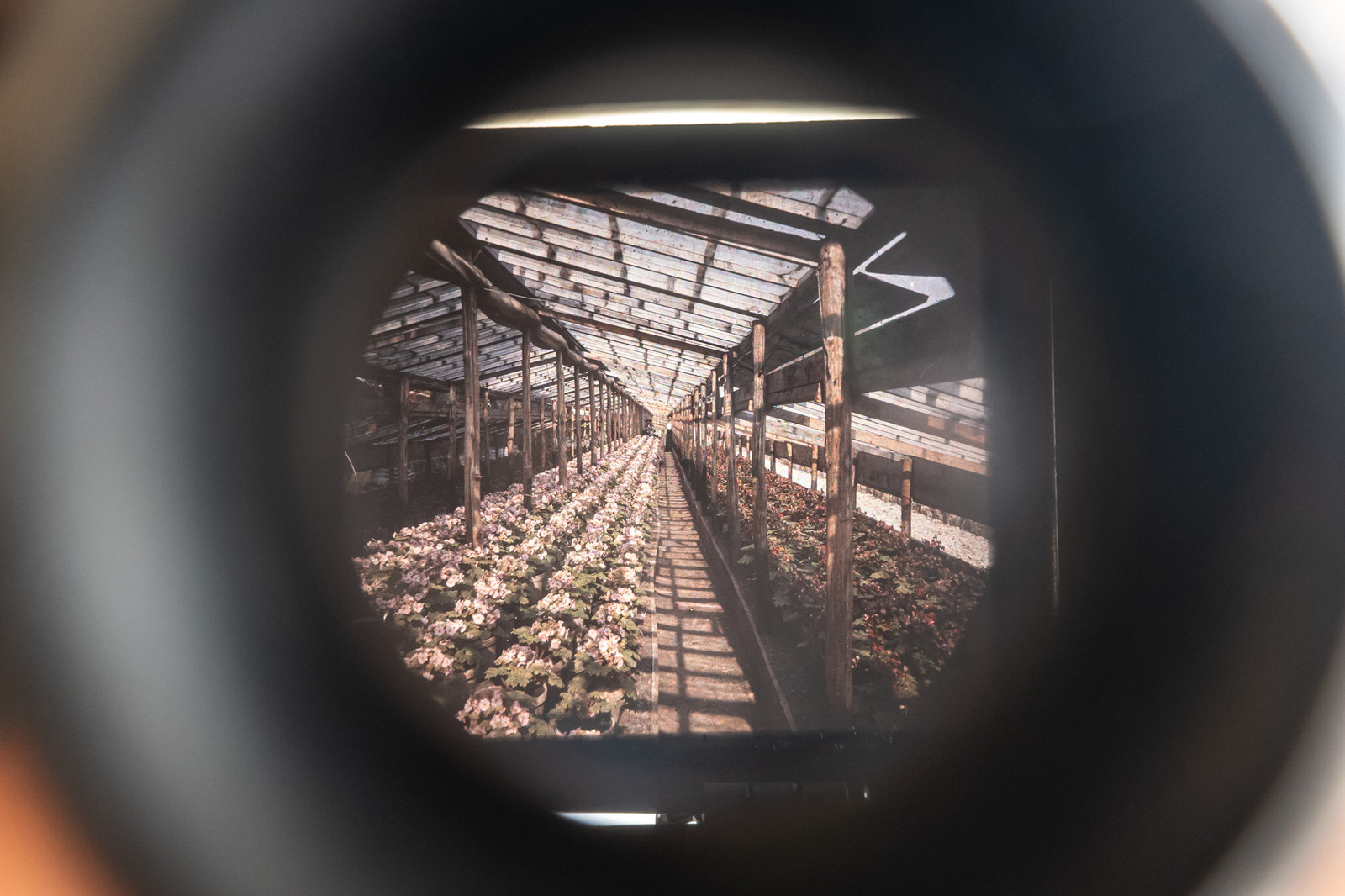 Exposition d'une sélection de photographies des Hautes-Alpes réalisées par Henry Coufourier entre 1913 et 1936 proposée par l'association Regards Alpins.