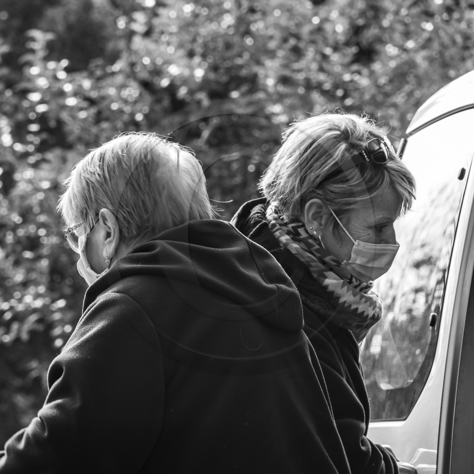 Fabrication de tournesols