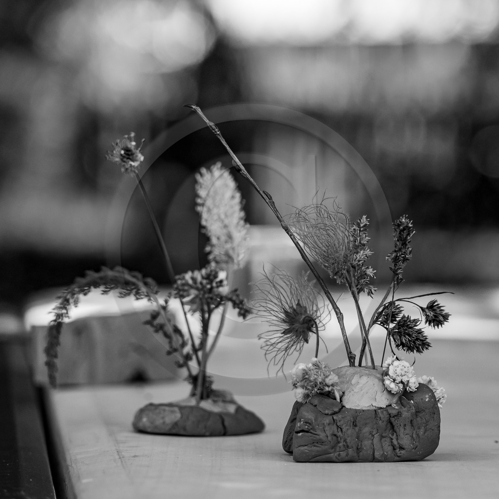 26 juin 2023 : journée des aidants et des aidés