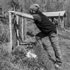 14 avril 2021 : collages, taille, jardinage