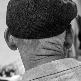 21 juin 2017 - Installation des épouvantails