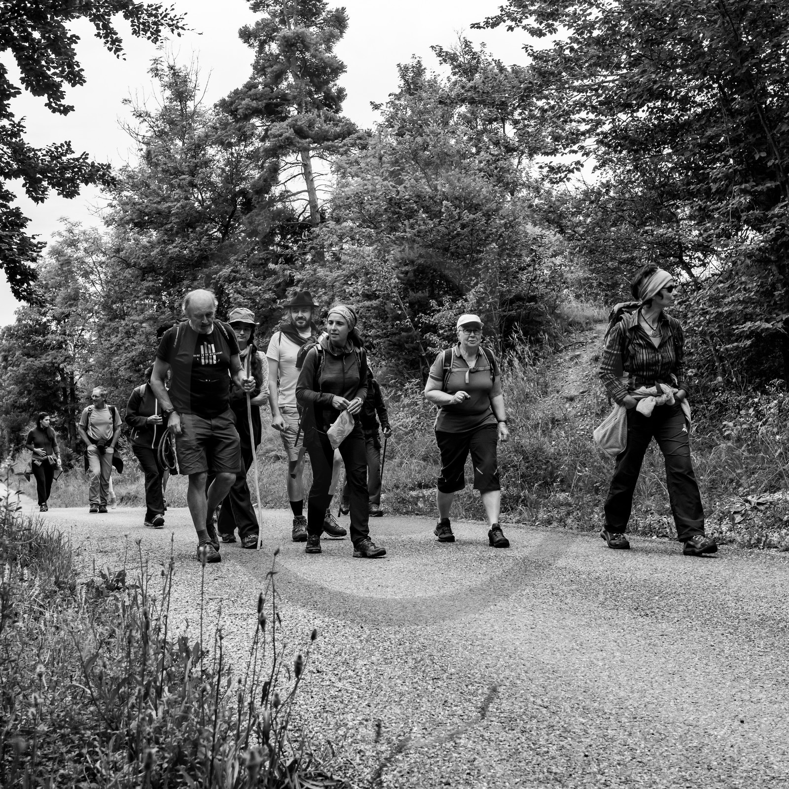 04 juillet 2021 : Journée Art & Nature