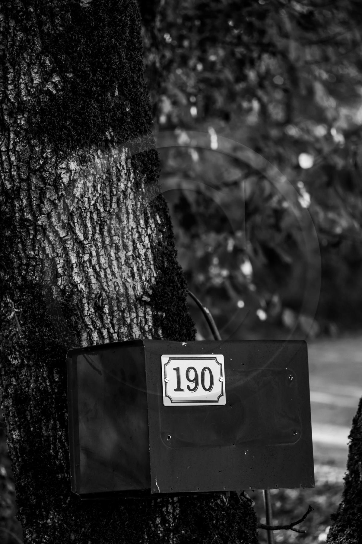 Des chiffres et des lettres