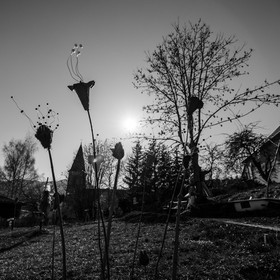 20 mars 2018 : une après-midi au jardin