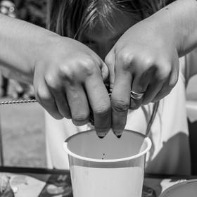 06 juin 2021 : Vide-Jardin et peinture végétale